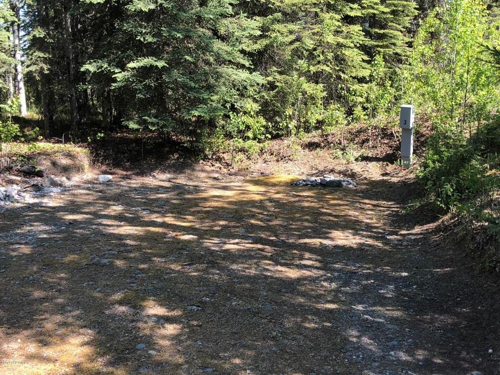L10-11-A1 King Salmon Ave: King Salmon Ave, King Salmon, AK 99613